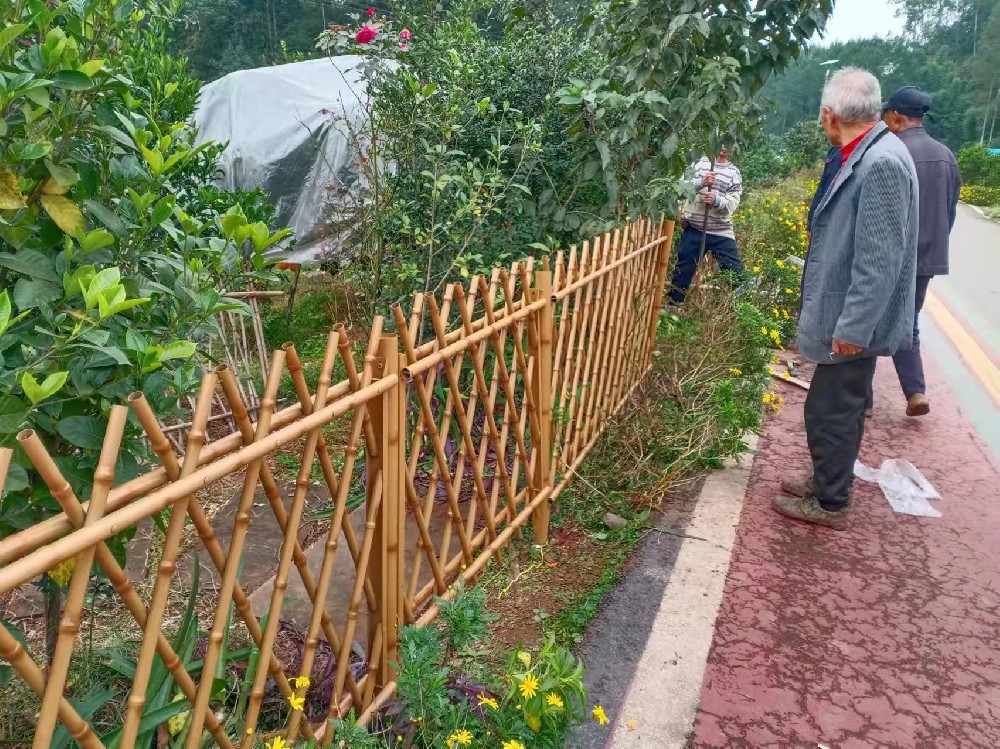 美麗鄉村花園用圍欄